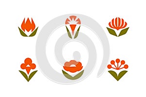 Floral vector logo mark template or icon. Set of elegant design elements with ornamental tulip, peony, carnation and other flowers