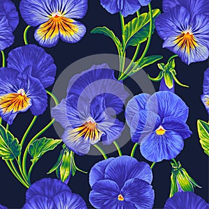 Floral vector pattern with realistic blue Pansies. Blue yellow Viola flowers with lettuce leaves, hand-drawn.