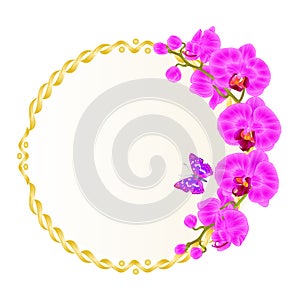 Floral vector round golden frame with orchids purple flowers tropical plants Phalaenopsis and cute small butterfly vintage