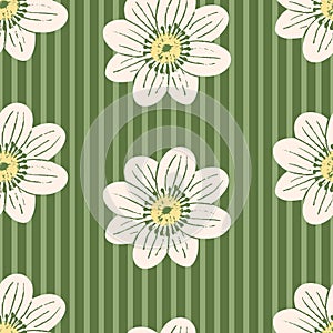 Floral vector seamless pattern. Modern white flowers on muted green background with stripes. Sketchy summer flowers hand