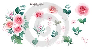 Floral vector set. Botanic arrangements & individual elements of peach rose flowers, leaf, branch. Illustration for wedding,