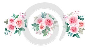 Floral vector set. Botanic arrangements of peach rose flowers, leaf, branch. Illustration for wedding, greeting card, or logo