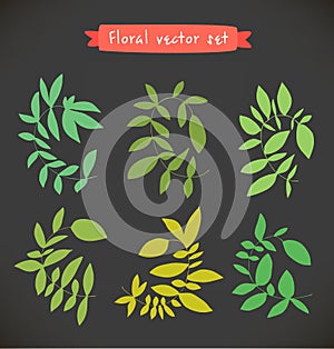 Floral vector set. Collection of colorful drawn branches.
