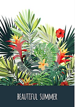 Floral vertical postcard design with guzmania and hibiscus flowers, monstera and royal palm leaves. Exotic hawaiian vector