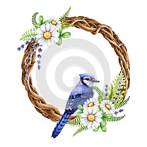 Floral vine wreath with garden flower and blue jay bird. Watercolor illustration. Hand drawn vintage style decor element