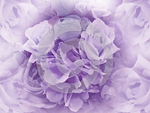 Floral vintage light purple background