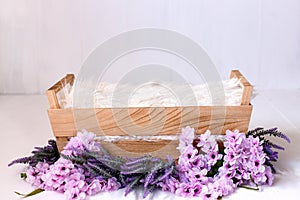Floral violet digital background for newborn photography