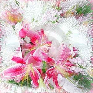 Floral vivid background with stylized bouquet of pink lily with centifugal rays