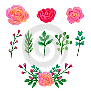 Floral watercolor collection. Flowers and leaves, branches design elements set. Vector hand drawn