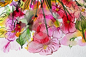 Floral watercolor painting beautiful flowers. Watercolor flower painting. Hand drawn illustration of floral background for design