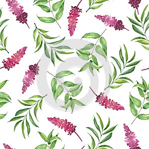 Floral watercolor seamless pattern with flowers and twigs on white background