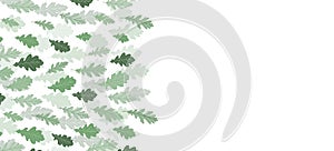 Floral web banner with drawn color exotic leaves. Nature concept design. Modern floral compositions with summer branches