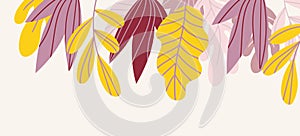 Floral web banner with drawn color exotic leaves. Nature concept design. Modern floral compositions with summer branches