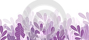 Floral web banner with drawn color exotic leaves. Nature concept design. Modern floral compositions with summer branches