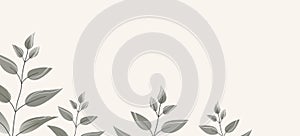 Floral web banner with drawn grey exotic leaves. Nature concept design. Modern floral compositions with summer branches