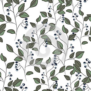 Floral white pattern with leaves and berries. Ornamental herb leaf branch seamless background.