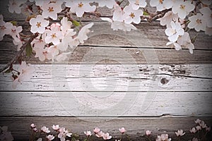 floral white, shabby wood background