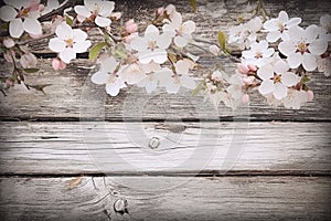 floral white, shabby wood background