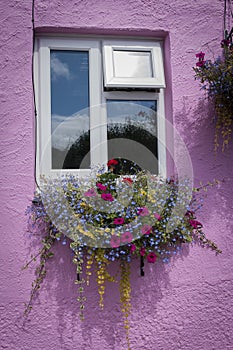 Floral window box