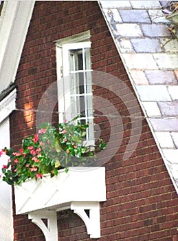 Cottage windowbox photo