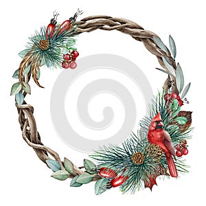 Floral winter wreath with red cardinal bird watercolor illustration. Elegant seasonal round natural decor with pine branch, bird.