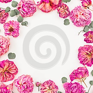 Floral wreath frame with pink roses and eucalyptus isolated on white background, Flat lay, Top view