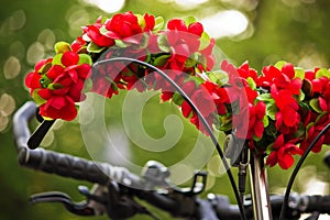 florale Bicycle in Autumn Sun