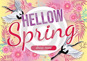 florals hello spring background for holidays mood