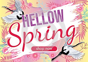 florals hello spring background for holidays mood