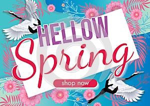 florals hello spring background for holidays mood