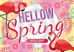 florals hello spring background for holidays mood