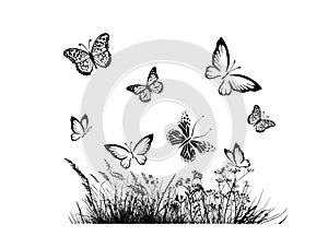 Florar silhouette with butterflies. Vector illustration