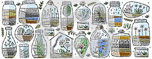 Florarium in bottle set with cactuses, succulents, leaves, branches, stones and seashells decoration on sand. Exotic