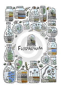 Florarium in bottle set with cactuses, succulents, leaves, branches, stones and seashells decoration on sand. Exotic