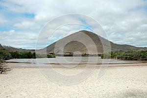 Floreana island landscape. photo