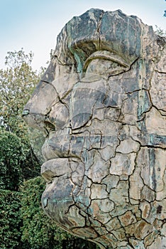 Florence, Boboli Gardens - statue of a face inside the garden photo