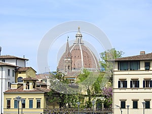 Florence Cathedral and Duomo