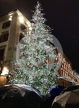 Florence Christmas Tree and umbrellas