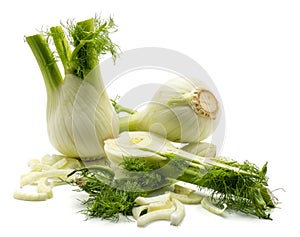 Florence fennel isolated photo