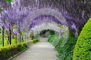 Florence - Giardino Bardini Boboli