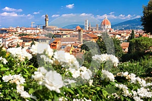 Florence, Italy. Amazing view on Firenze on summer day. Landscape of the Florence