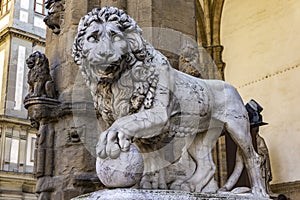 Florence lion statue at the Loggia dei Lanzi in Florence, Italy