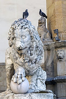 Florence lion statue made by Vacca 1598, at the Loggia dei Lanzi in Florence, Italy photo