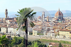 Florence Panorama