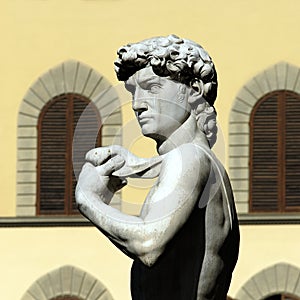 Florence - Piazza della Signoria photo