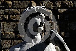 Florence - Piazza della Signoria photo