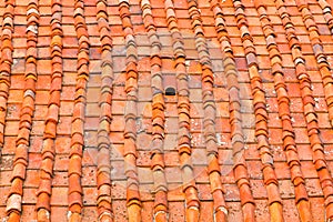 Florence roof