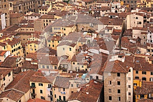 Florence roofs tops