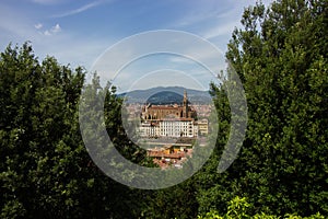 Florence skyline displaying the Santa Croce basilic in Tuscany, Italy captured through leafy trees