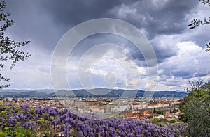 Florence skyline in Italy: in the distance the Basilica of Santa Croce.